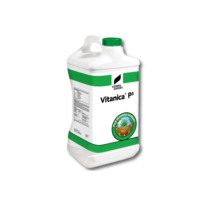 Schwarzenberger Vitanica P3