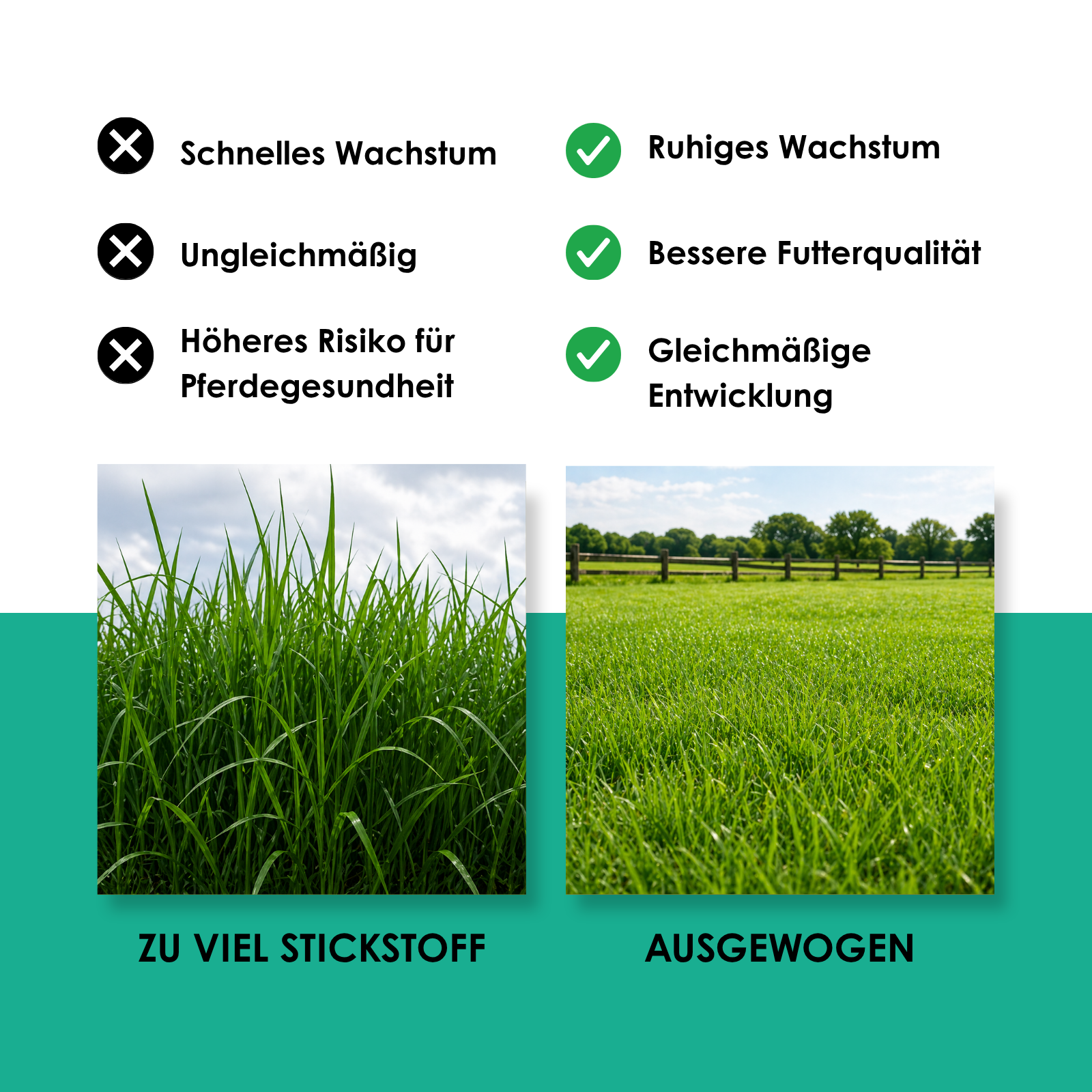 Organischer Fruktanbewusster Pferdeweide Dnger - 20 kg fr gesunde und  stabile Weideflchen