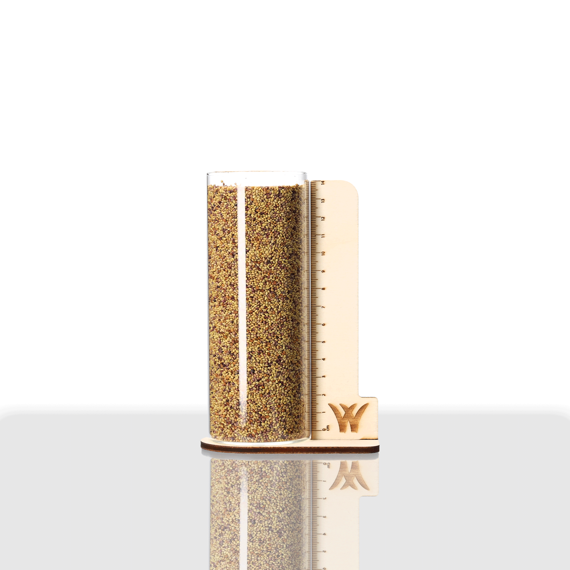 Rotklee Altaswede Saatgut im Glaszylinder mit Maßskala, Samen Schwarzenberger