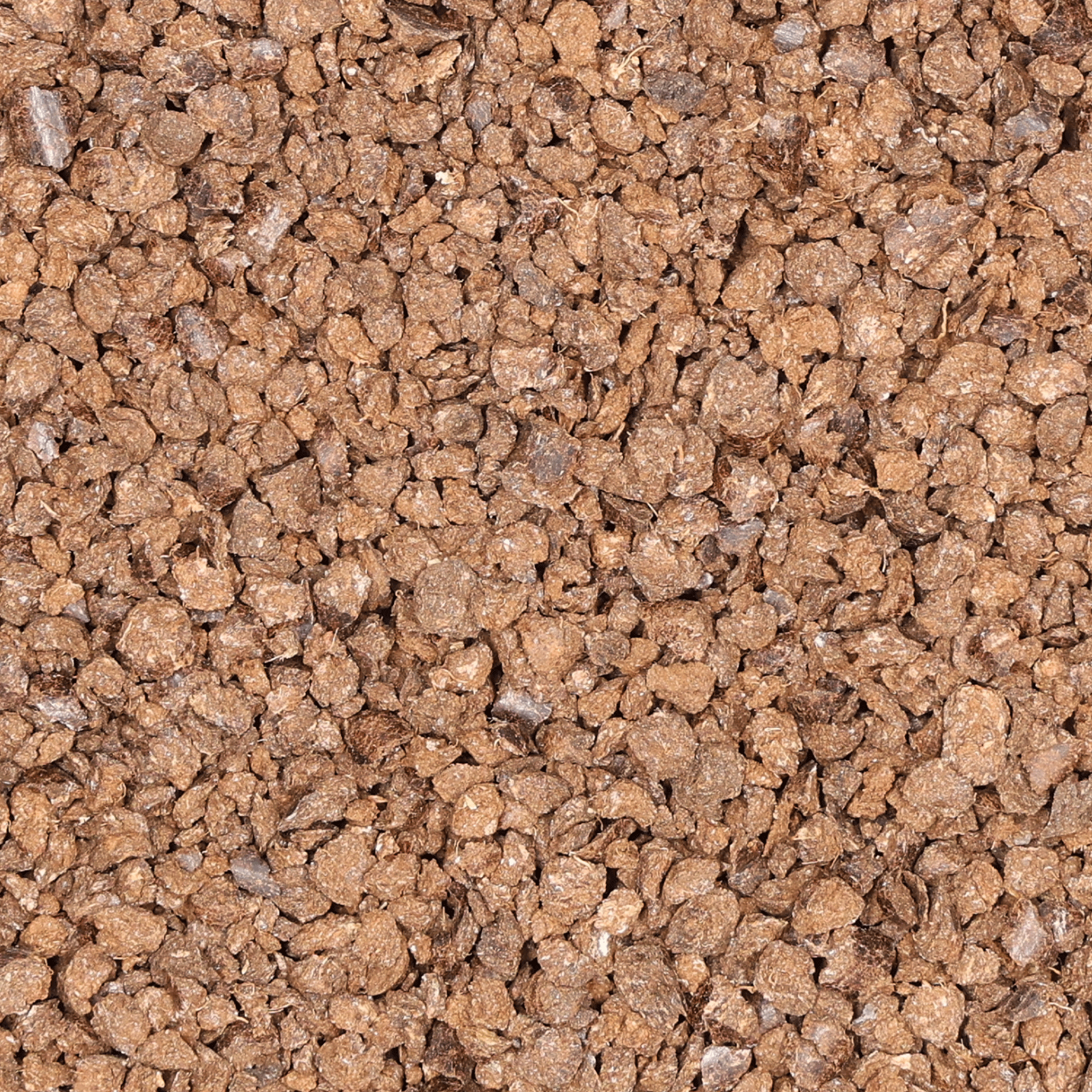 Saathelfer Cocotto Mix | 10 kg