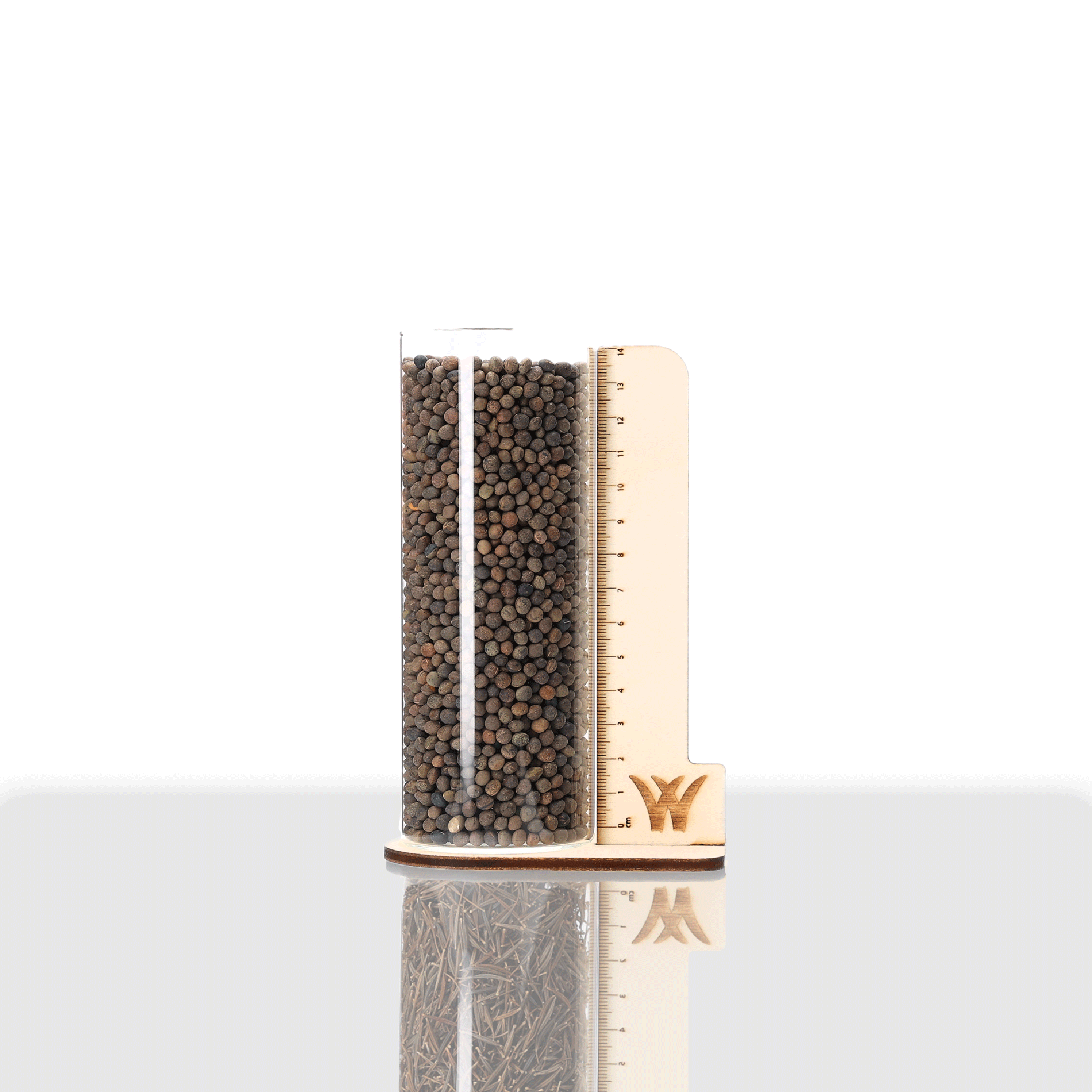 Sommerwicke | Jose | 1 kg