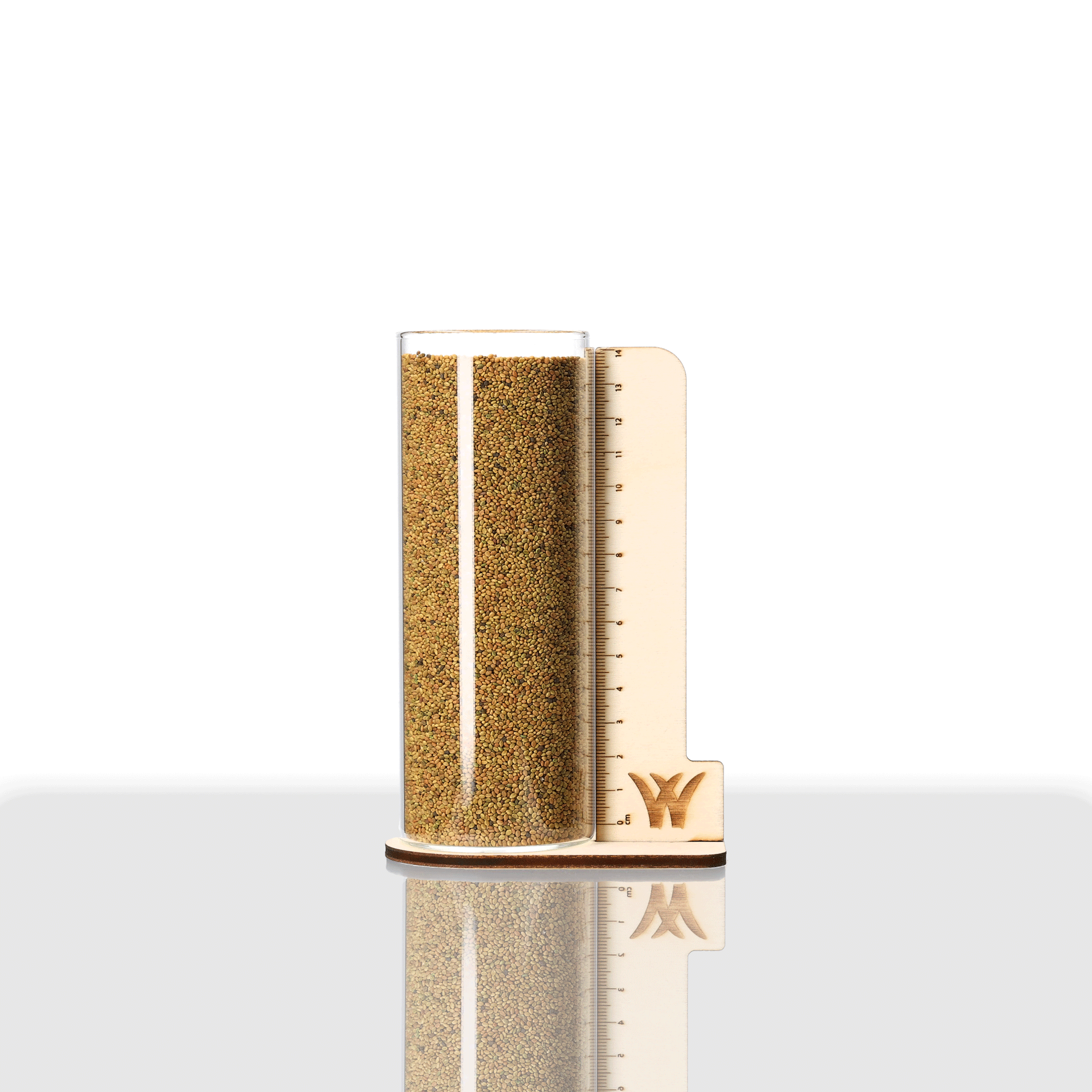 Luzerne Weidetyp Saatgut im Glaszylinder, Samen Schwarzenberger Luzerne Weidetyp Saatgut im Glaszylinder, Samen Schwarzenberger