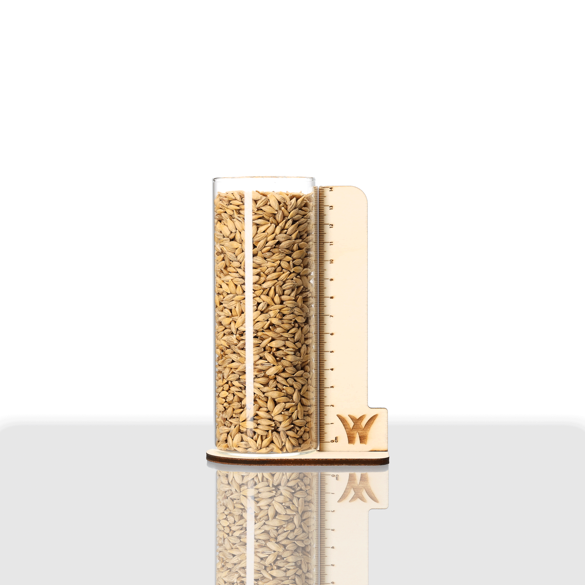 Glasröhrchen mit Sommergerste Samen 1 kg von Samen Schwarzenberger