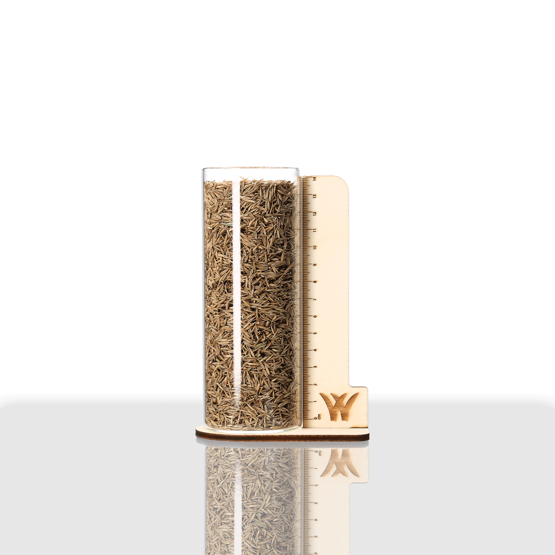 Rohrschwingel Rasen | Armani | 1 kg