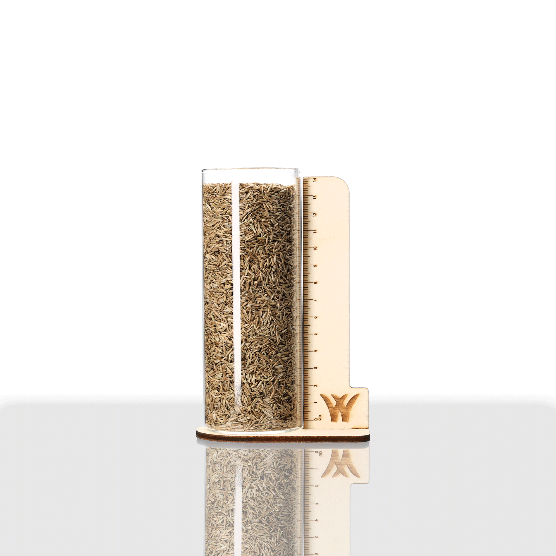 Deutsches Weidelgras (Englisches Raygras) RSM | Elegana | 1 kg