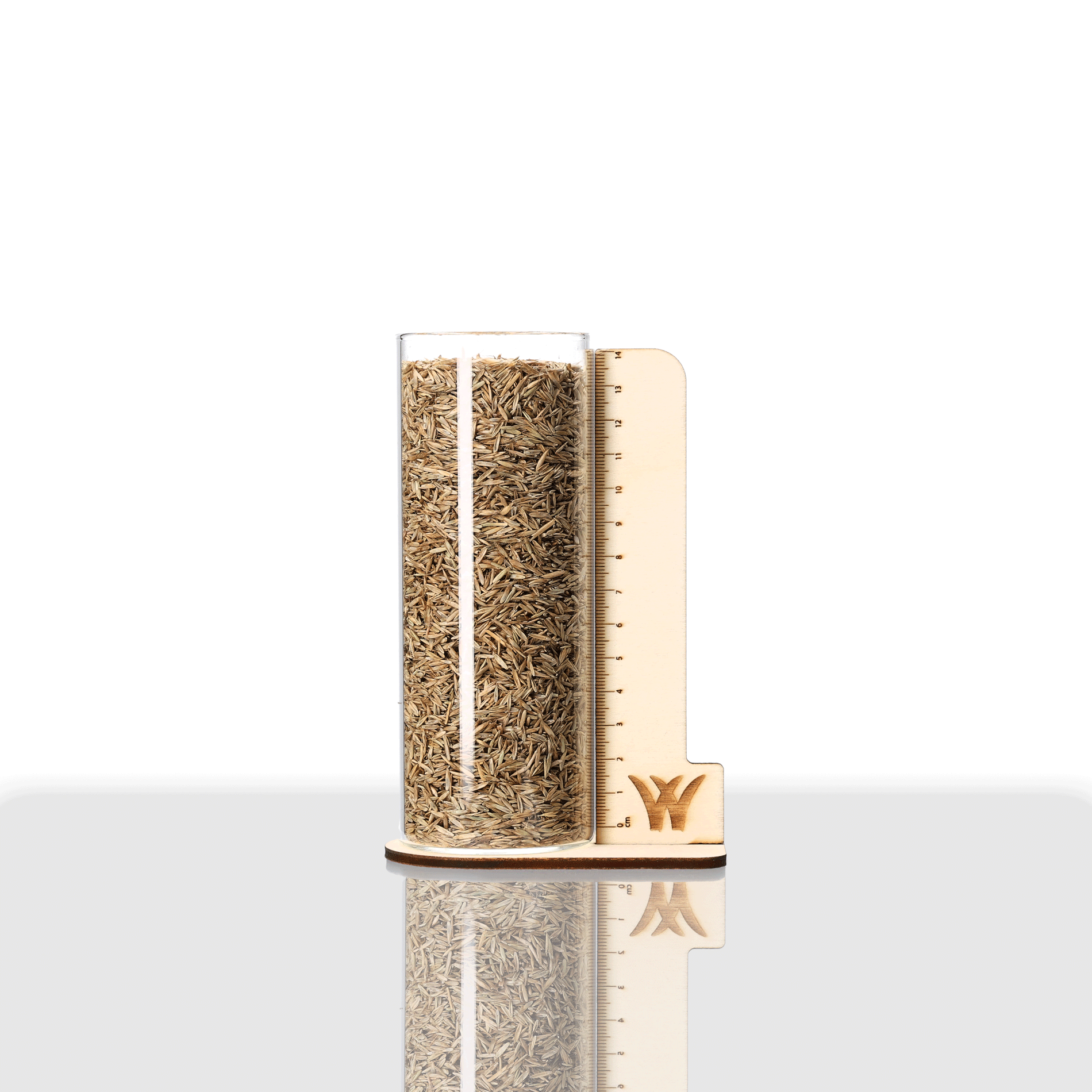 Einjähriges Weidelgras (Raygras Westerwoldisch) Rasen | Candidame | 1 kg