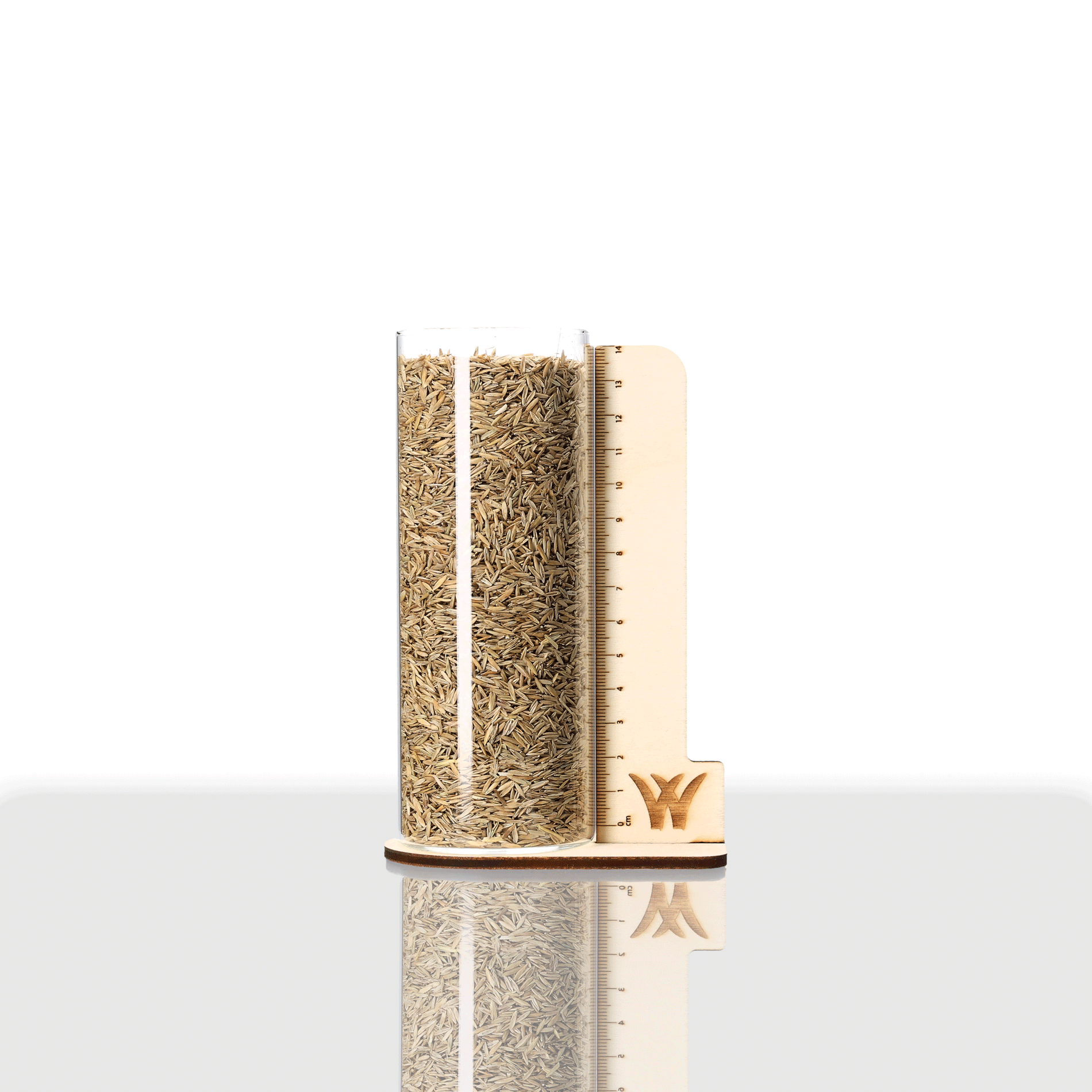 BIO Wiesenschwingel | Pardus | 1 kg