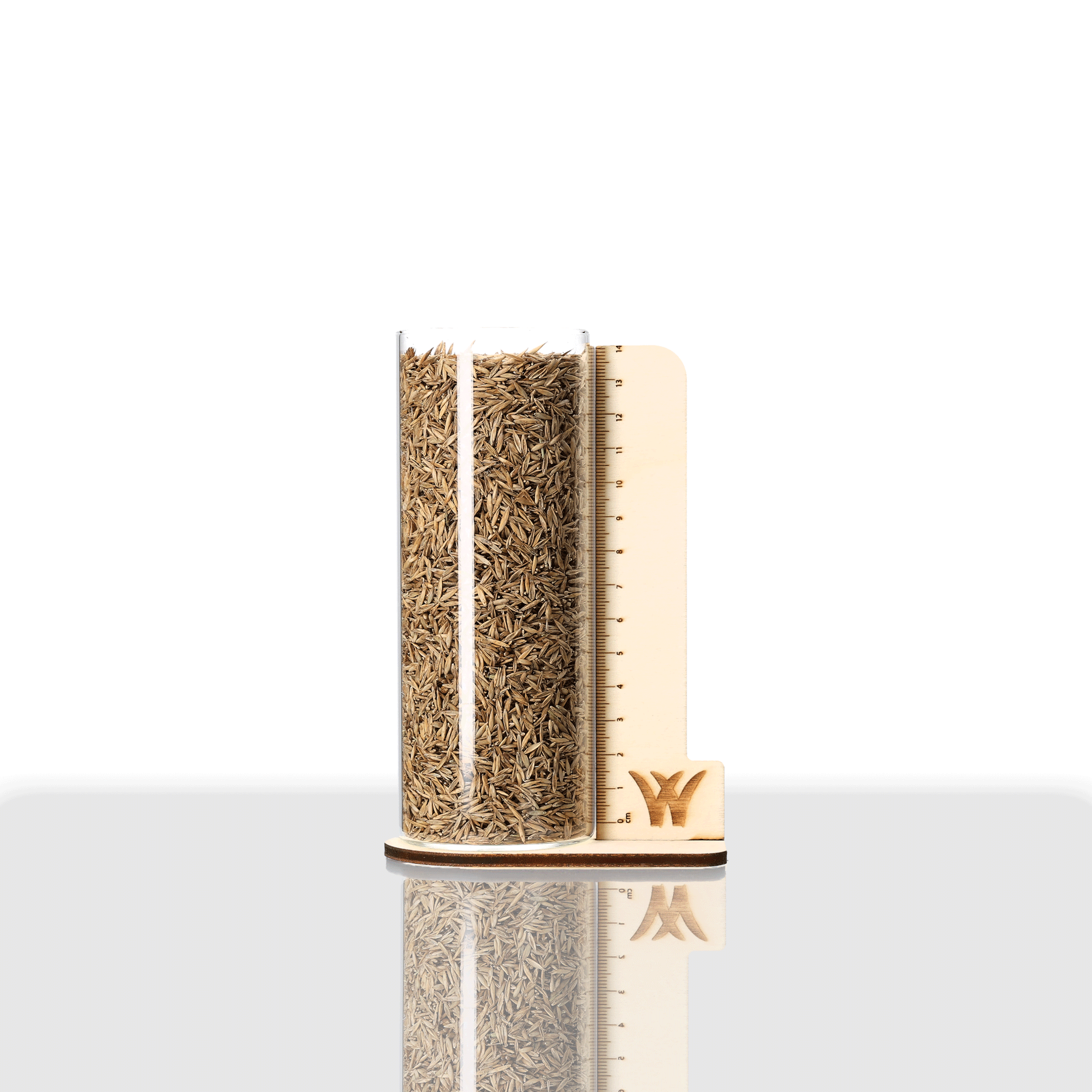 Rohrschwingel Rasen | Starlett | 1 kg