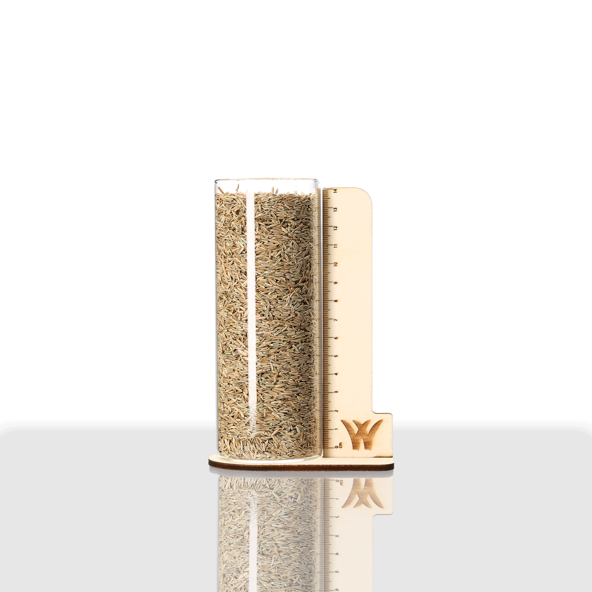 Einjähriges Weidelgras (Raygras Westerwoldisch) Rasen | Nusprint | 1 kg