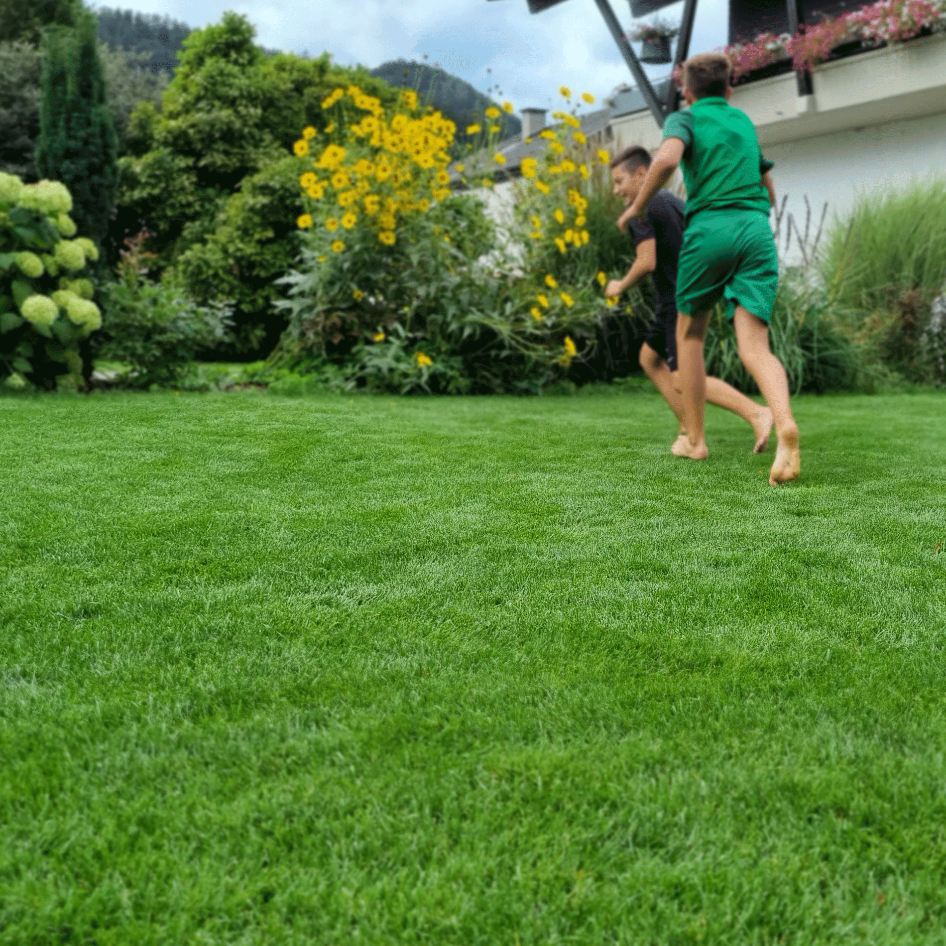 Schwarzenberger Vielseitiger schnellkeimender Rasen für Gärten und Spielflächen Anwendung