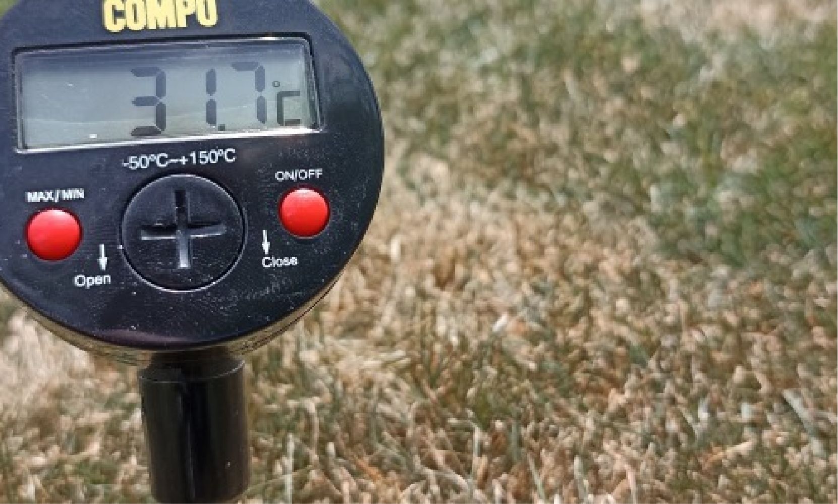 Bodenthermometer zeigt 31,7 Grad Celsius auf trockenem Rasenbereich