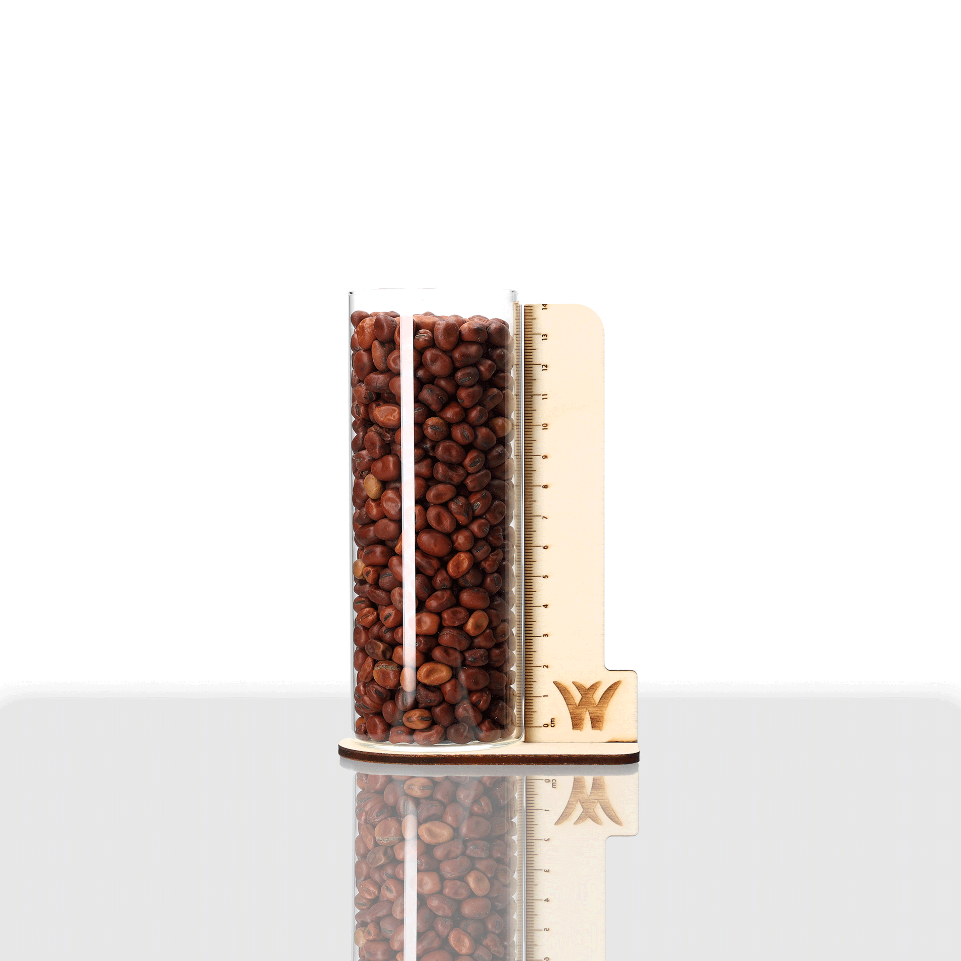 Ackerbohne Saatgut im Glasbehälter, Samen Schwarzenberger