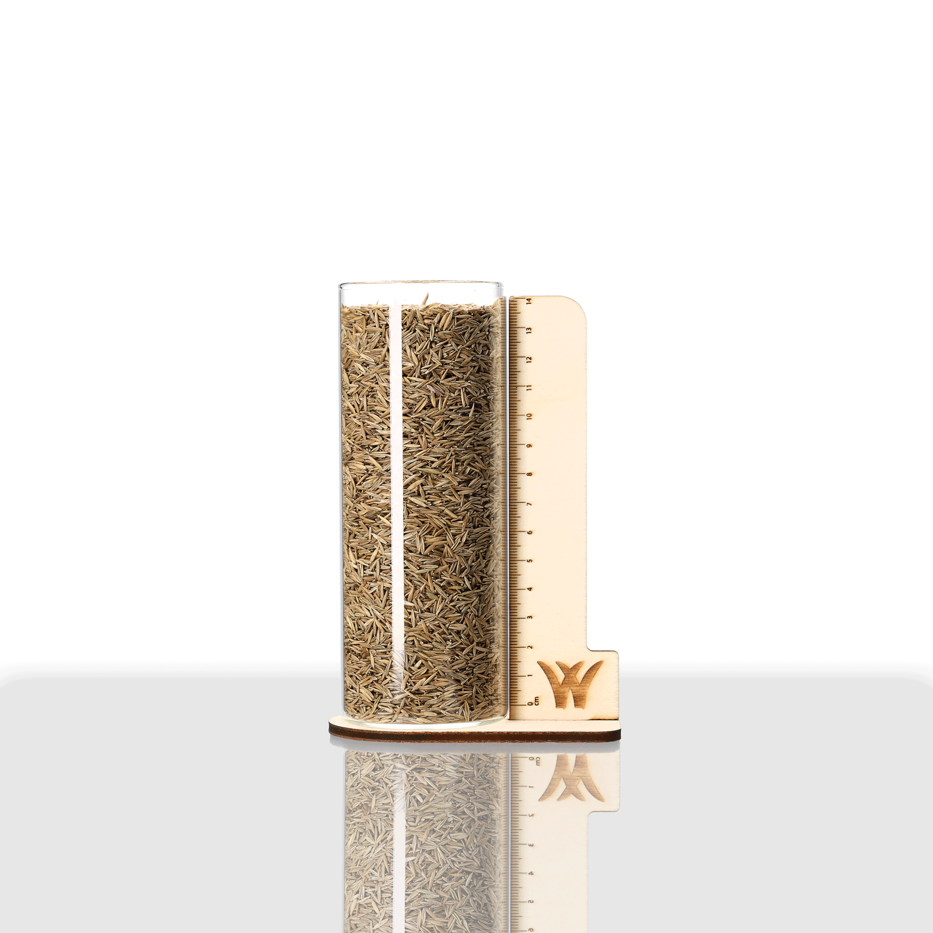 Wiesenschwingel | Laura | 1 kg