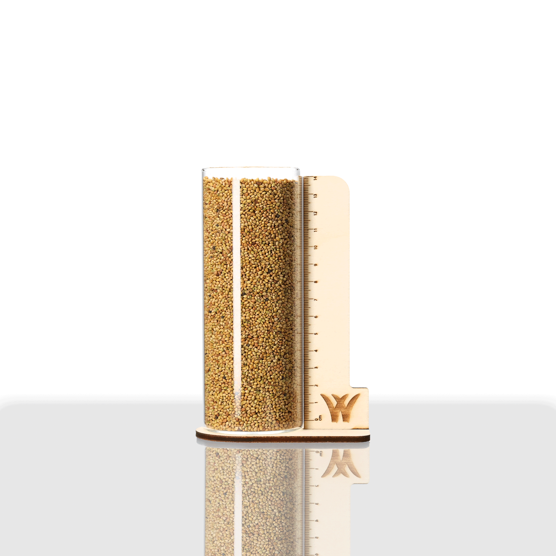 Glas mit Alexandrinerklee Einschnittig Tabor Saatgut, gefüllt mit kleinen, hellbraunen Samen, daneben ein Maßstab aus Holz zur Größenorientierung, Samen Schwarzenberger. Glas mit Alexandrinerklee Einschnittig Tabor Saatgut, gefüllt mit kleinen, hellbraunen Samen, daneben ein Maßstab aus Holz zur Größenorientierung, Samen Schwarzenberger.