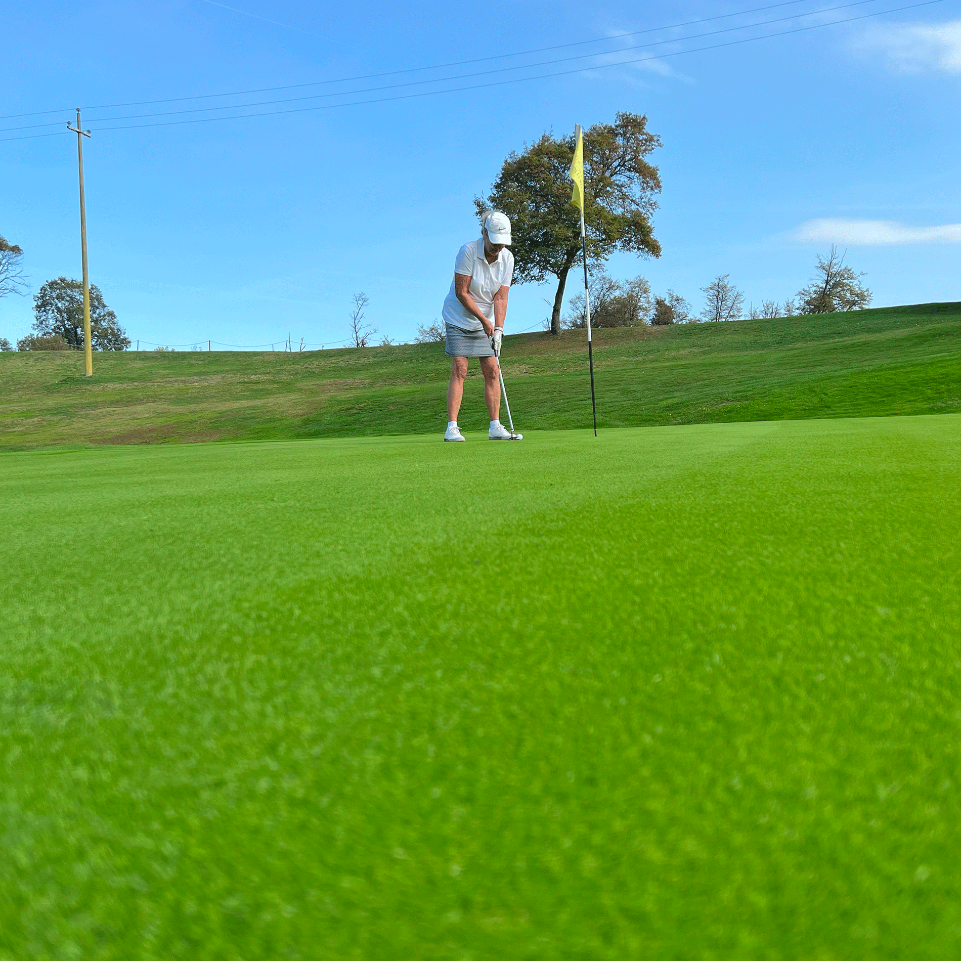 Schwarzenberger Trockenheitsverträgliche Greenmischung für Golfplätze RSM 4.1.2 Anwendung