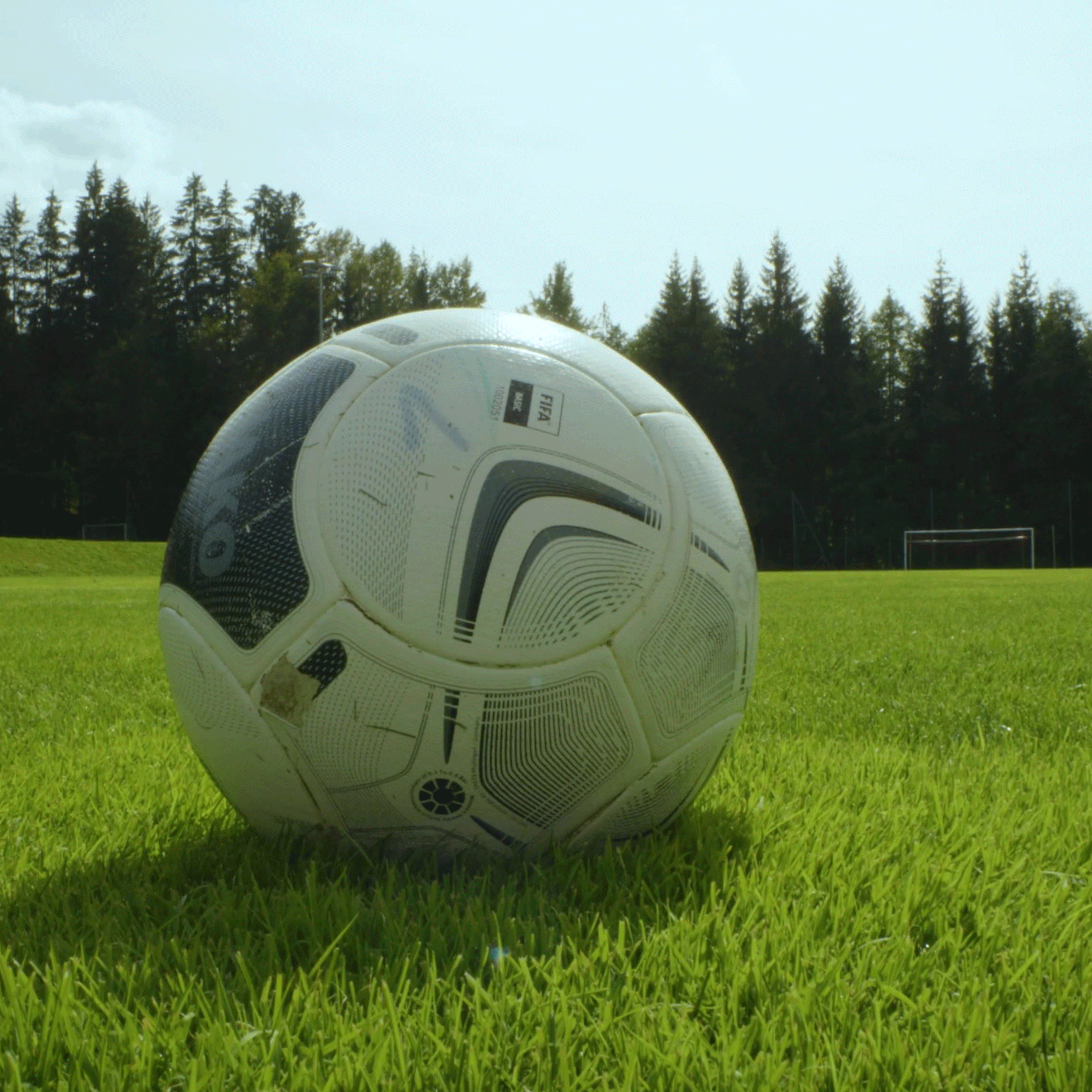 Schwarzenberger Schnellkeimender Nachsaat/Regenerationsrasen für Sportplätze RSM 3.2 Anwendung