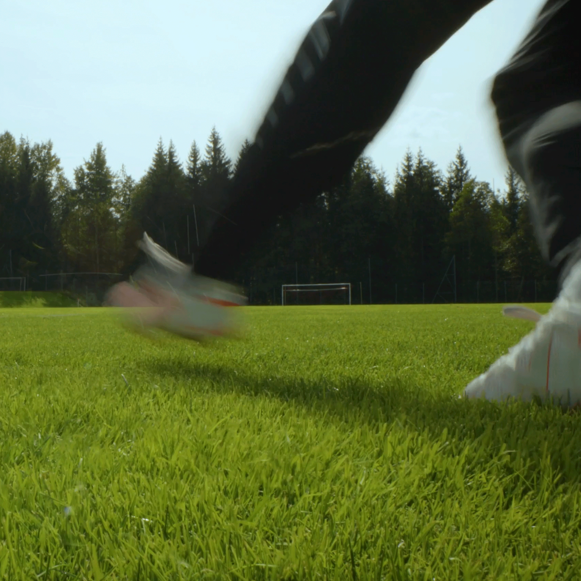 Schwarzenberger Strapazierfähiger Fußballrasen mit Poa Pratensis RSM 3.1 Anwendung