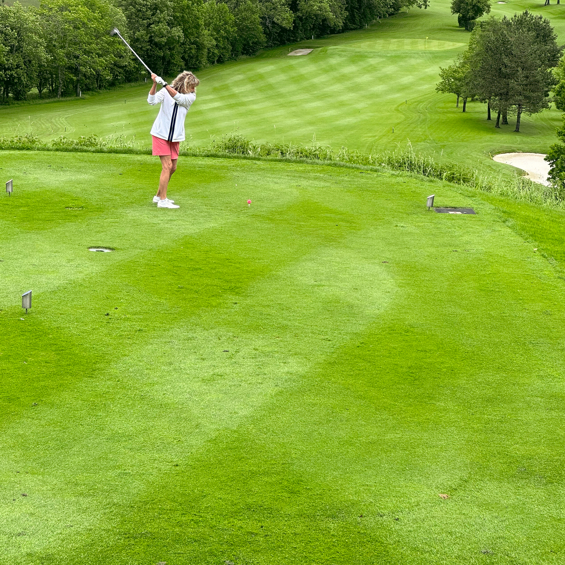 Schwarzenberger Schnellkeimende Abschlagmischung für Golfplätze RSM 4.3 Anwendung