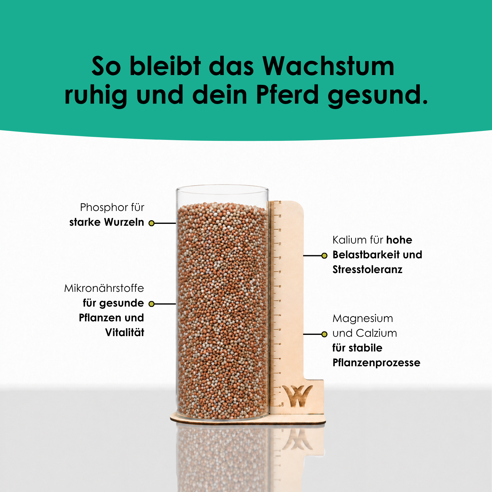 Organischer Fruktanbewusster Pferdeweide Dnger - 20 kg fr gesunde und  stabile Weideflchen