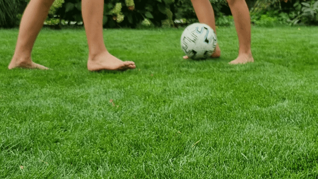 Fit fr die Fuball-EM: Ein Sommer Rasendnger mit Kalium macht deinen Rasen  zum Champion
