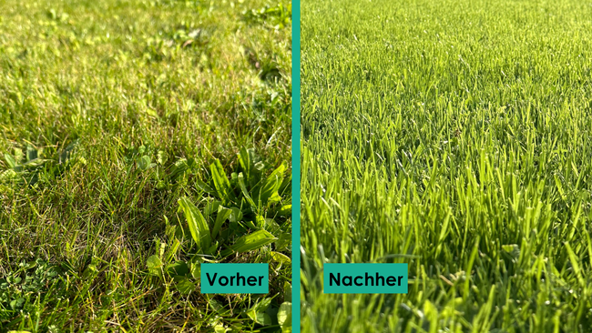 biobizz dünger acti-vera DÜNGER main image 0